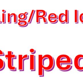 New Americana/Alt-Country: Steve Bowling/Red Idle Rejects — ‘New Striped&nbsp;Shirt’